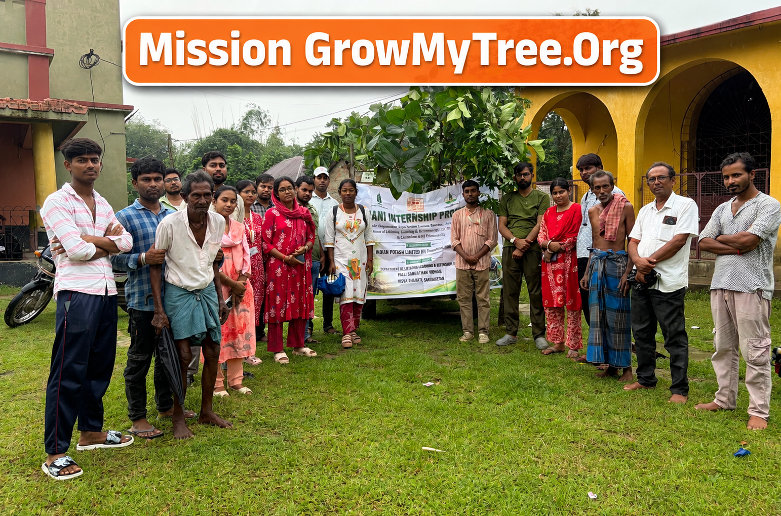 Grow My Tree